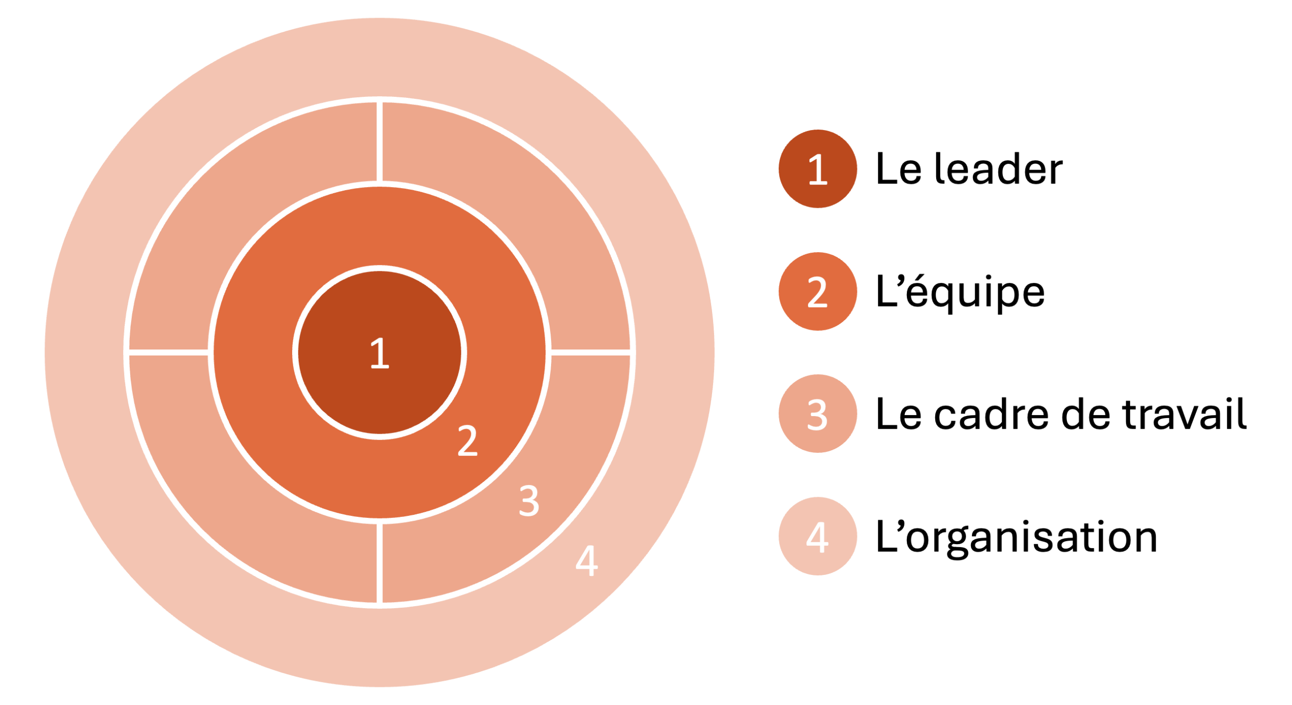 Schéma des quatre niveaux de la sécurité psychologique : le leader, l'équipe, le cadre de travail et l'organisation